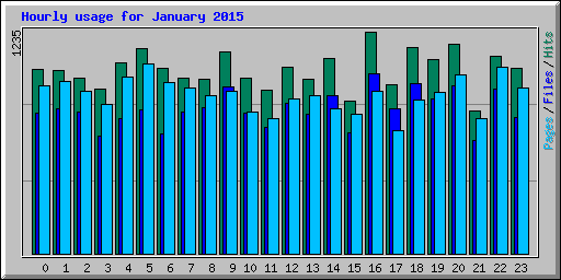 Hourly usage for January 2015